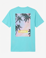 T-shirt Summer Concept