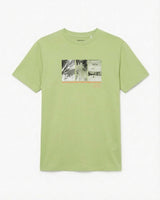 T-shirt in cotone summer